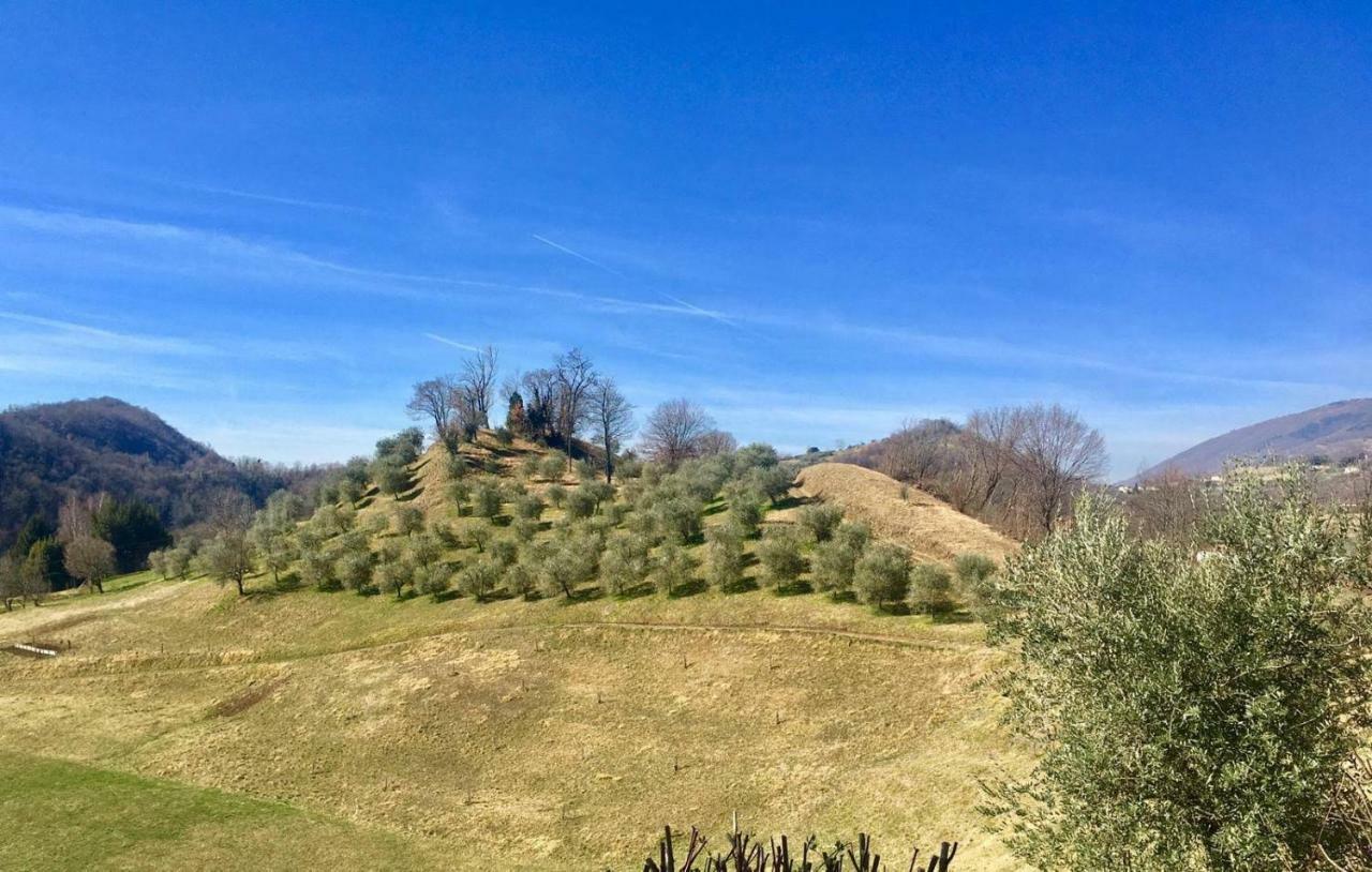 Rosy25 * San Michele (Vicenza)